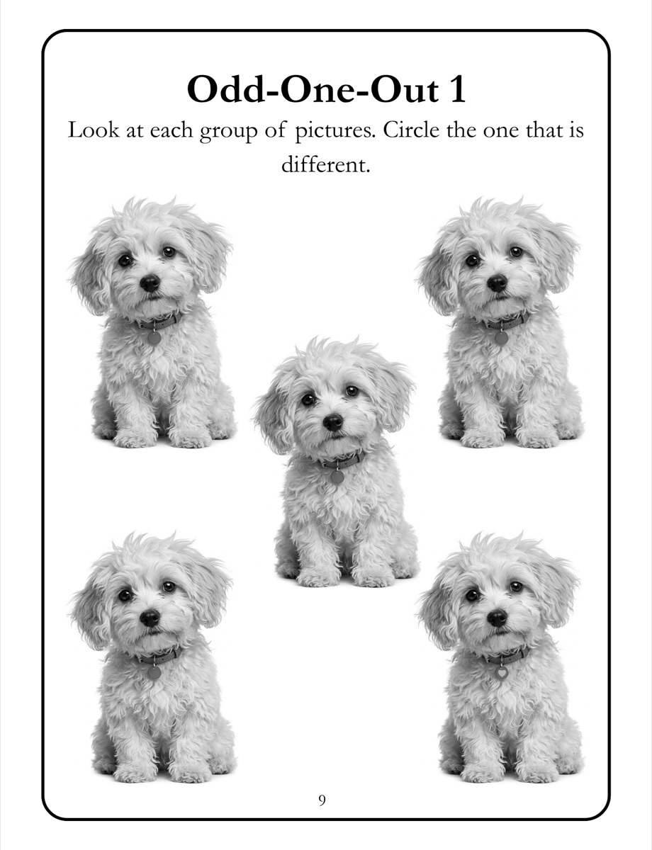 Sample interior page 1 from Memory Activity Book for Seniors